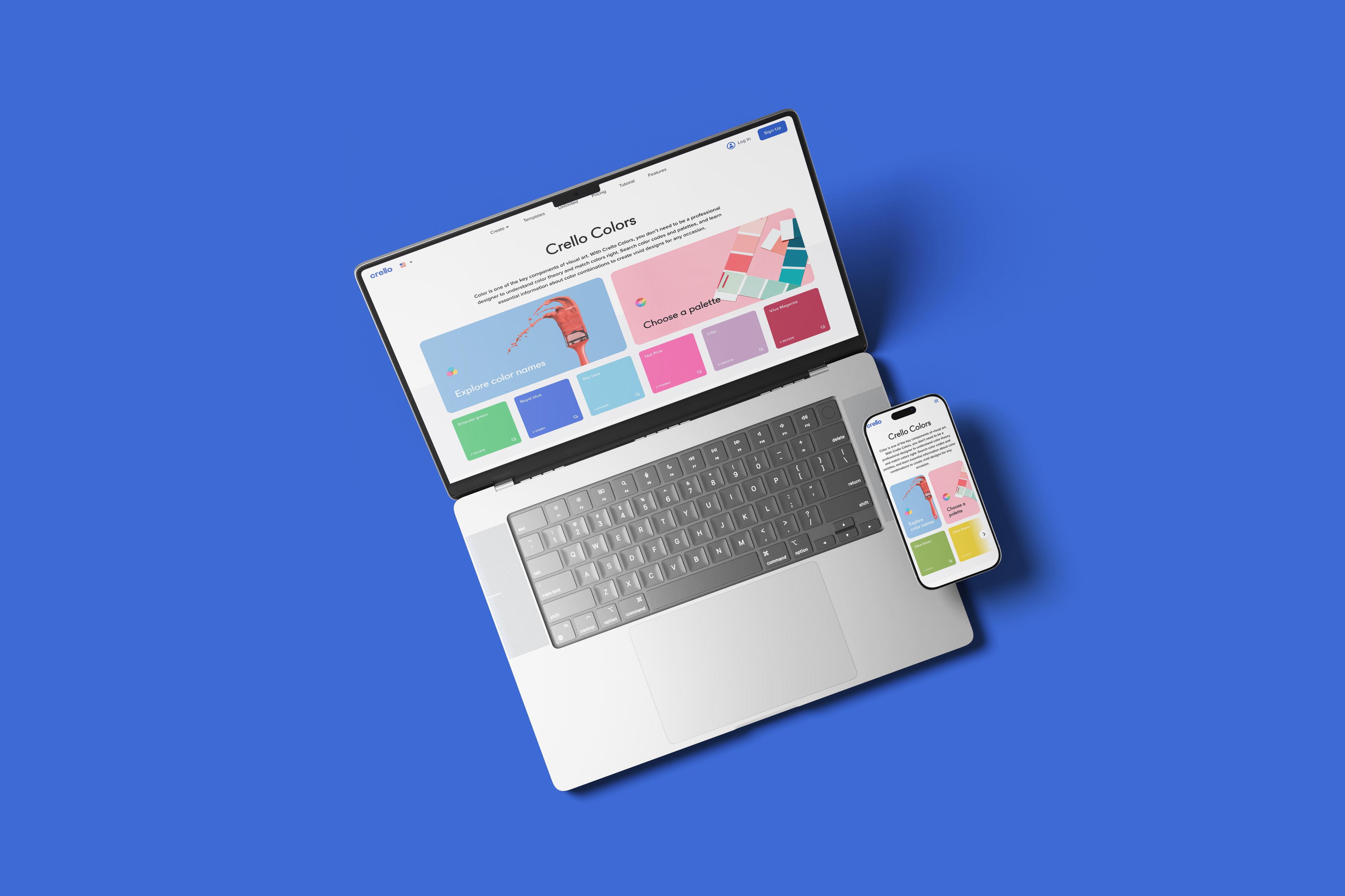 VistaCreate Colors Hub