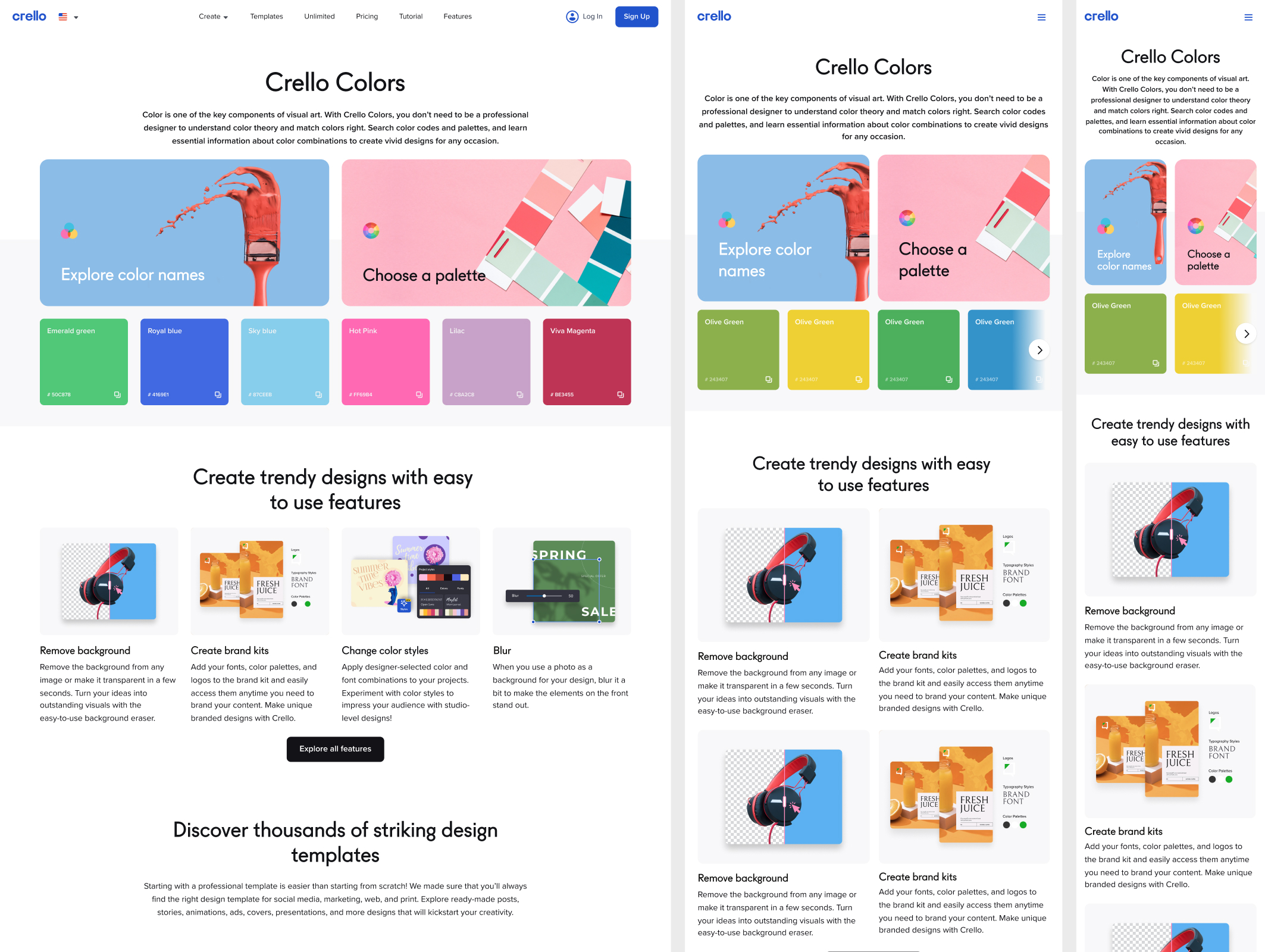 VistaCreate Colors Hub — selected screen 4